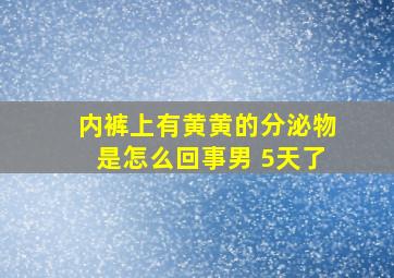 内裤上有黄黄的分泌物是怎么回事男 5天了